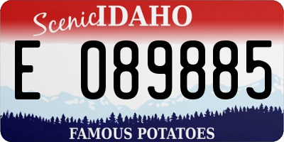 ID license plate E089885