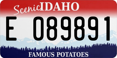 ID license plate E089891