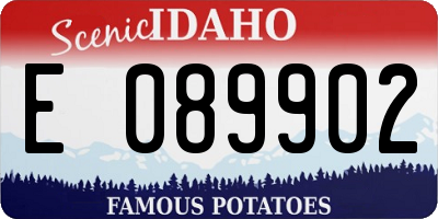 ID license plate E089902