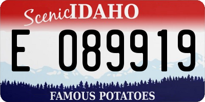ID license plate E089919