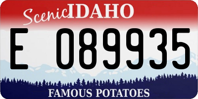 ID license plate E089935