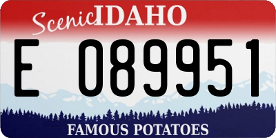 ID license plate E089951