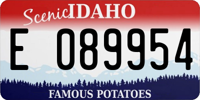 ID license plate E089954