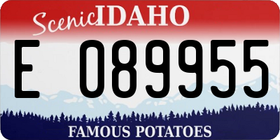 ID license plate E089955