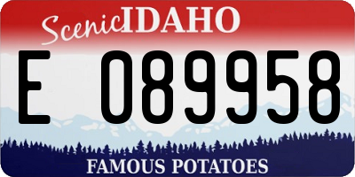 ID license plate E089958