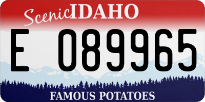 ID license plate E089965