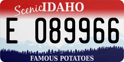 ID license plate E089966