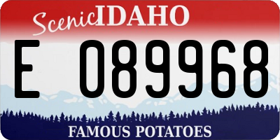 ID license plate E089968