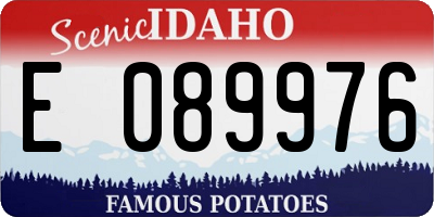 ID license plate E089976