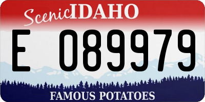 ID license plate E089979