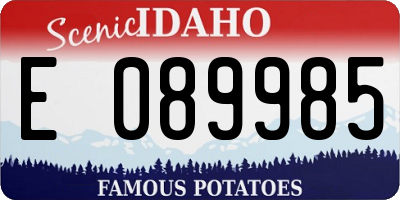 ID license plate E089985