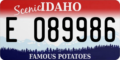 ID license plate E089986