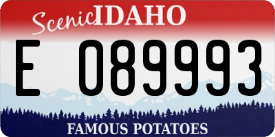 ID license plate E089993