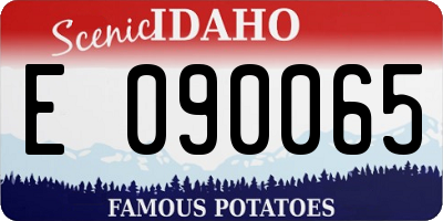 ID license plate E090065