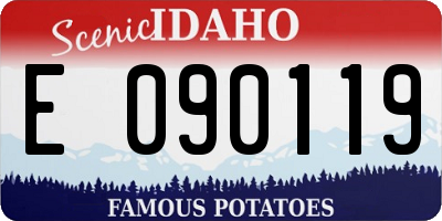 ID license plate E090119