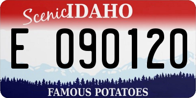 ID license plate E090120
