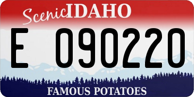 ID license plate E090220