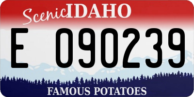 ID license plate E090239