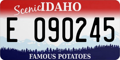 ID license plate E090245