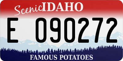 ID license plate E090272