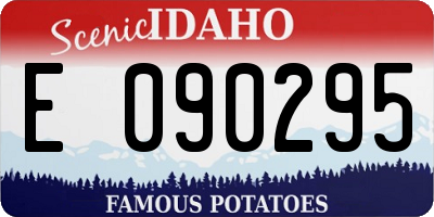 ID license plate E090295