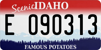 ID license plate E090313