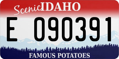 ID license plate E090391