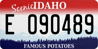 ID license plate E090489