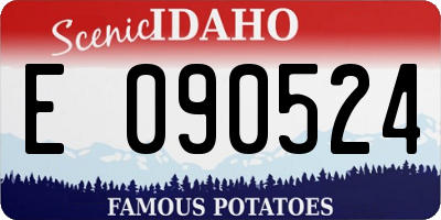 ID license plate E090524