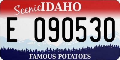 ID license plate E090530