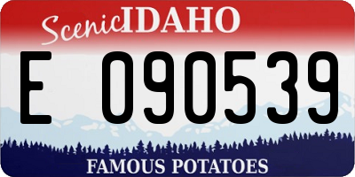 ID license plate E090539