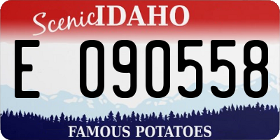 ID license plate E090558