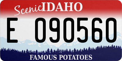 ID license plate E090560