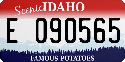 ID license plate E090565