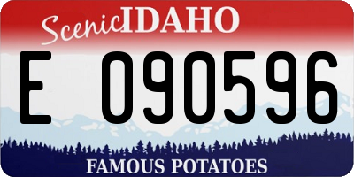 ID license plate E090596