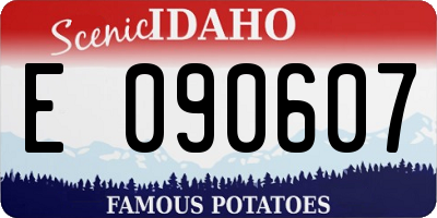 ID license plate E090607