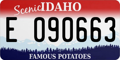 ID license plate E090663