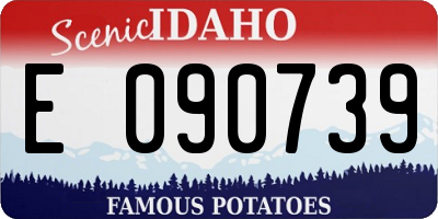 ID license plate E090739