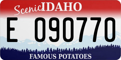 ID license plate E090770