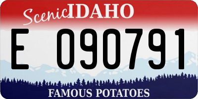ID license plate E090791