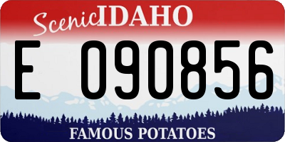 ID license plate E090856
