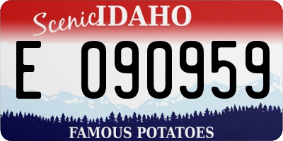 ID license plate E090959