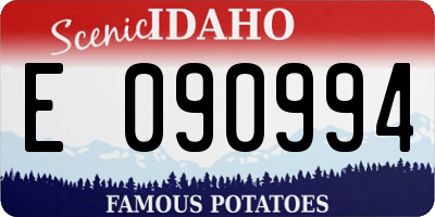 ID license plate E090994