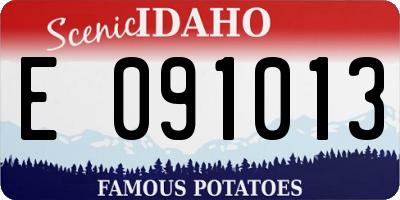 ID license plate E091013