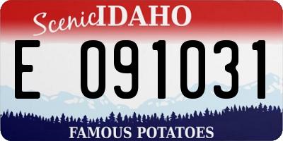 ID license plate E091031