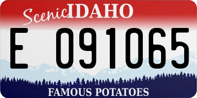 ID license plate E091065