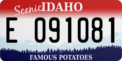 ID license plate E091081