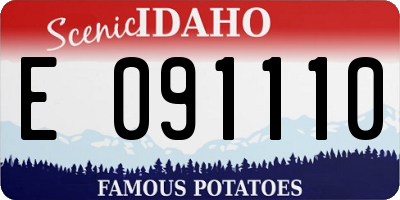 ID license plate E091110