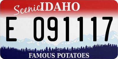 ID license plate E091117