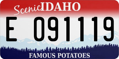 ID license plate E091119